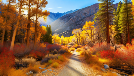 Discover California's Top Fall Foliage Trails This November
