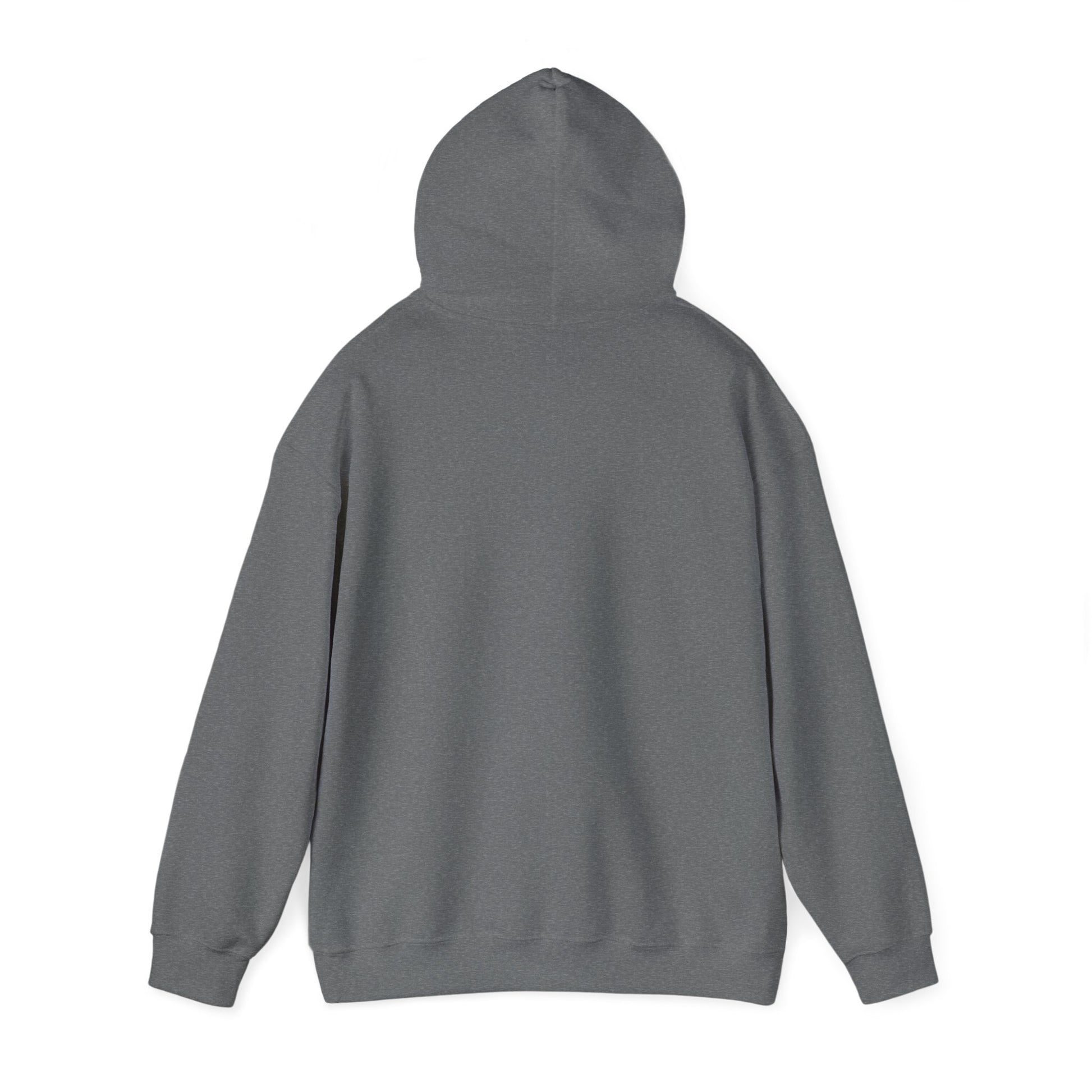 Vatican mascot Luce hoodie