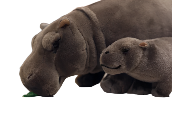 Realistic Moo Deng pygmy hippopotamus plush toys - Viral yawning video